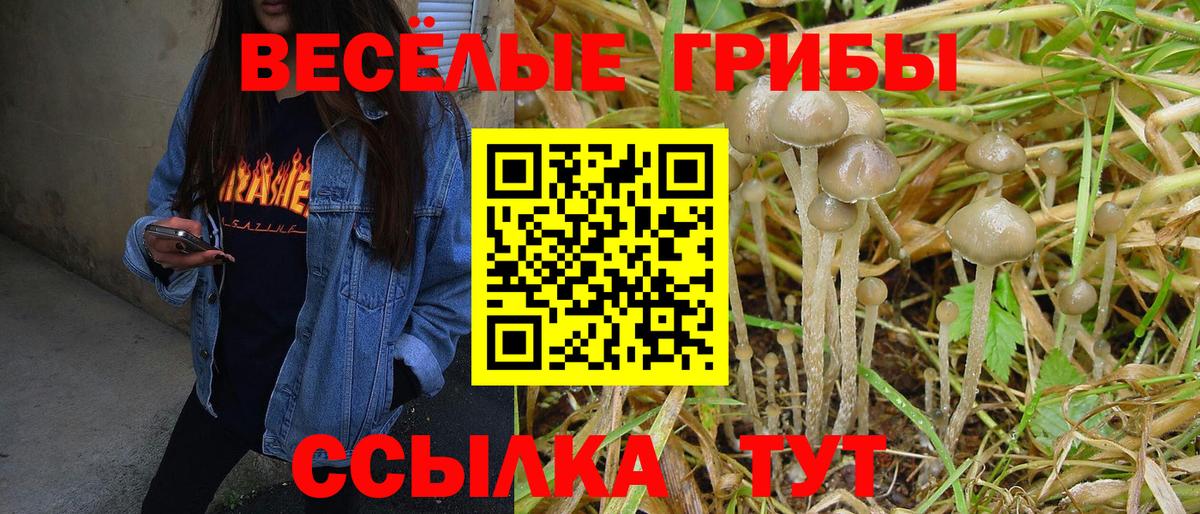 Галлюциногенные грибы ЛСД  Вход с VPN  хочу   Кыштым 